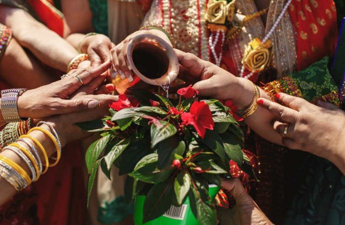 Mains des familles réunies versant de l'eau sur une plante fleurie lors d'un rituel traditionnel, illustrant comment organiser un mariage mixte multiculturel harmonieux.